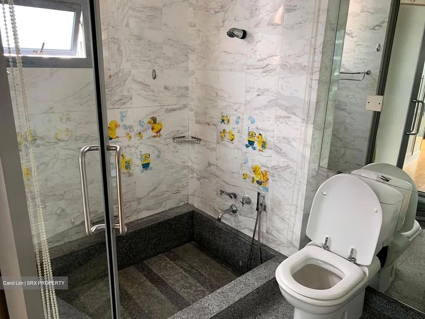 Water Place (D15), Condominium #566659501